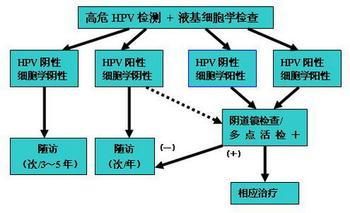 从宫颈癌前病变到癌的发生和发展有一个渐进的演变过程,故宫颈癌的